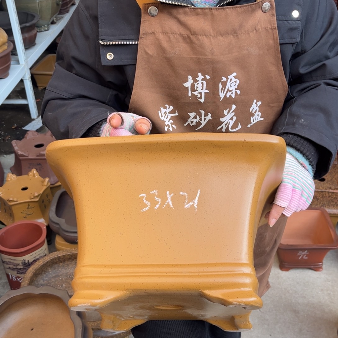 花盆紫砂盆景艺术