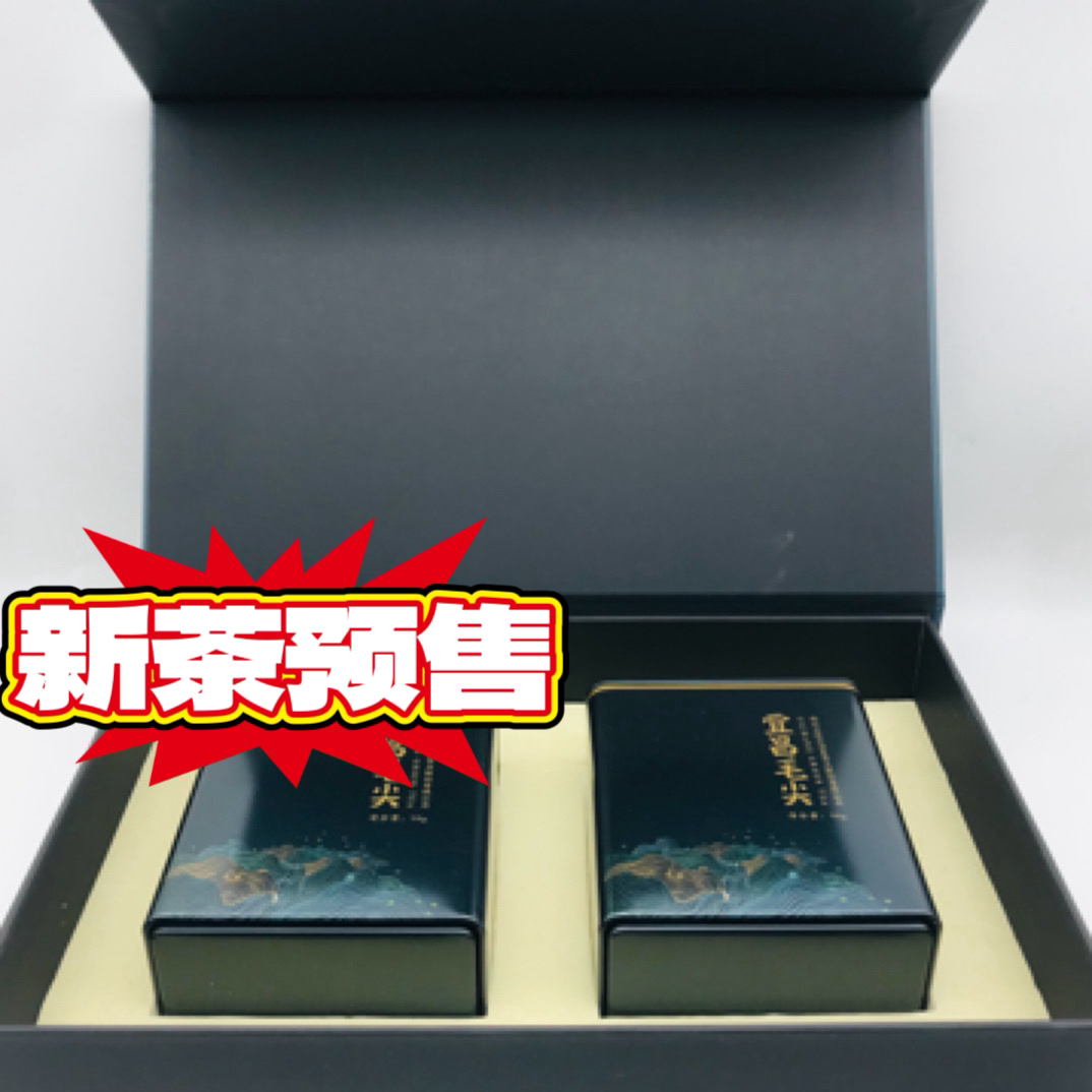 白溢春2025年新茶预售五峰绿茶 （宜昌毛尖 ） 高山贡芽富硒茶