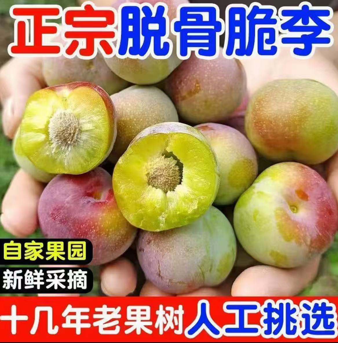 四川脱骨半边红茵红李脱骨李新鲜应季脆甜水果现摘坏果青红脆甜李