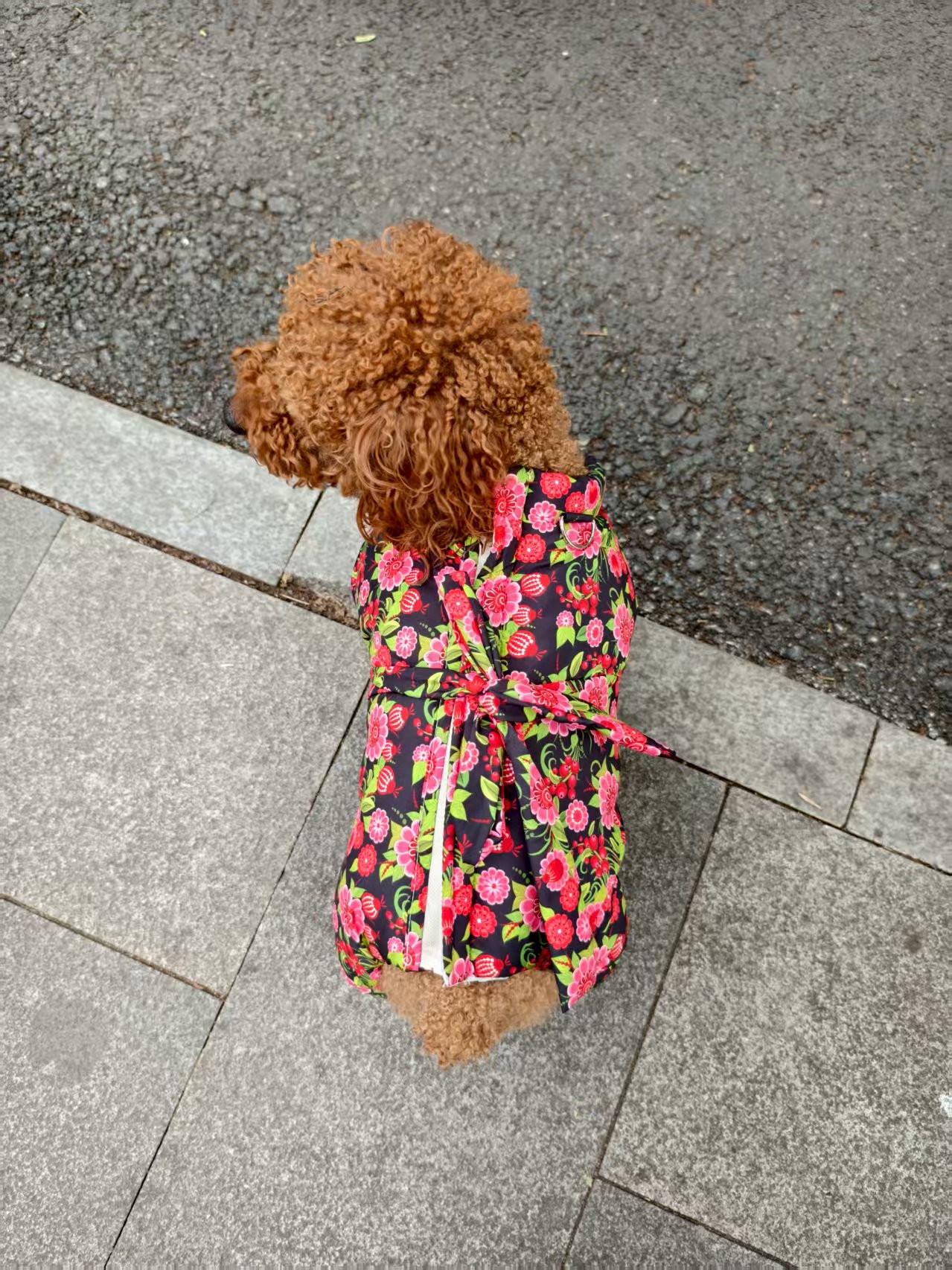 狗狗冬季棉服全包肚防水保暖加厚柔软舒适宠物衣服
