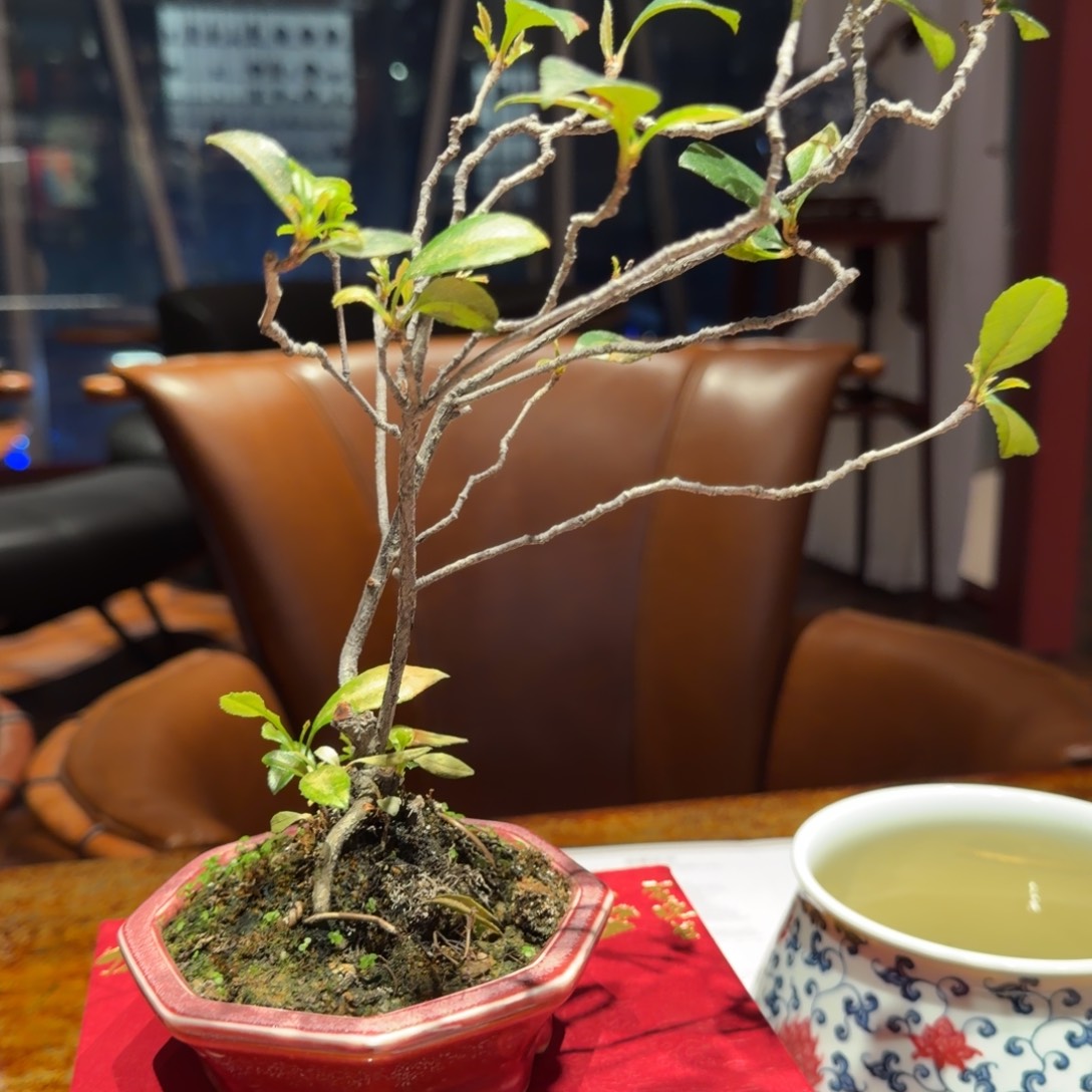 是***盛可以99000000000000000