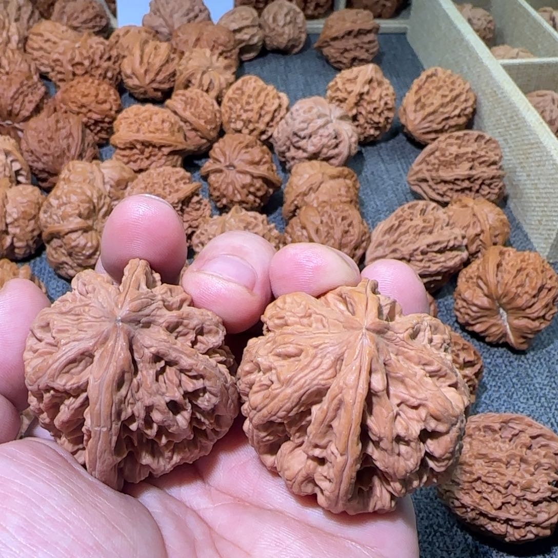 把件文玩核桃44粗筋