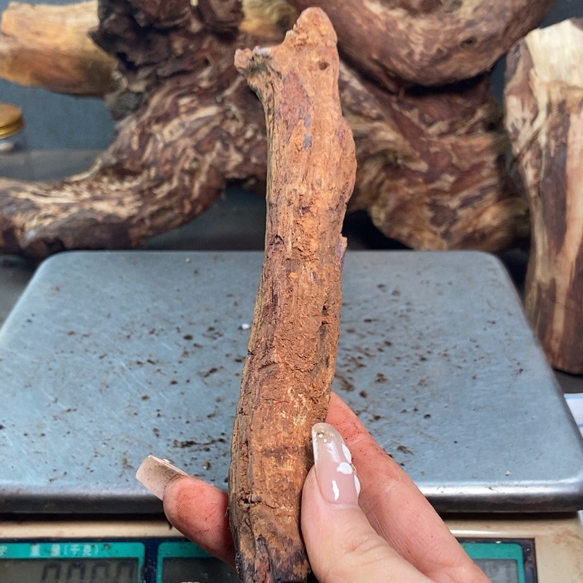 【闪购商品】黄花梨/降香黄檀?***期