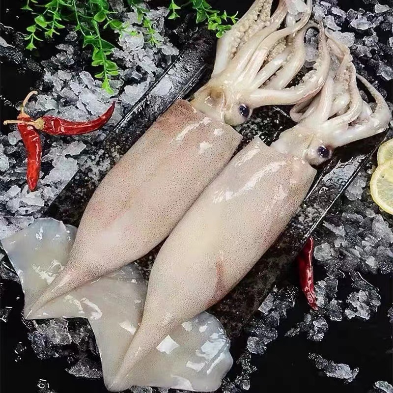 青岛原浆野生灯光大鱿鱼4斤6-8条（每条半斤以上） 速冻锁鲜发货