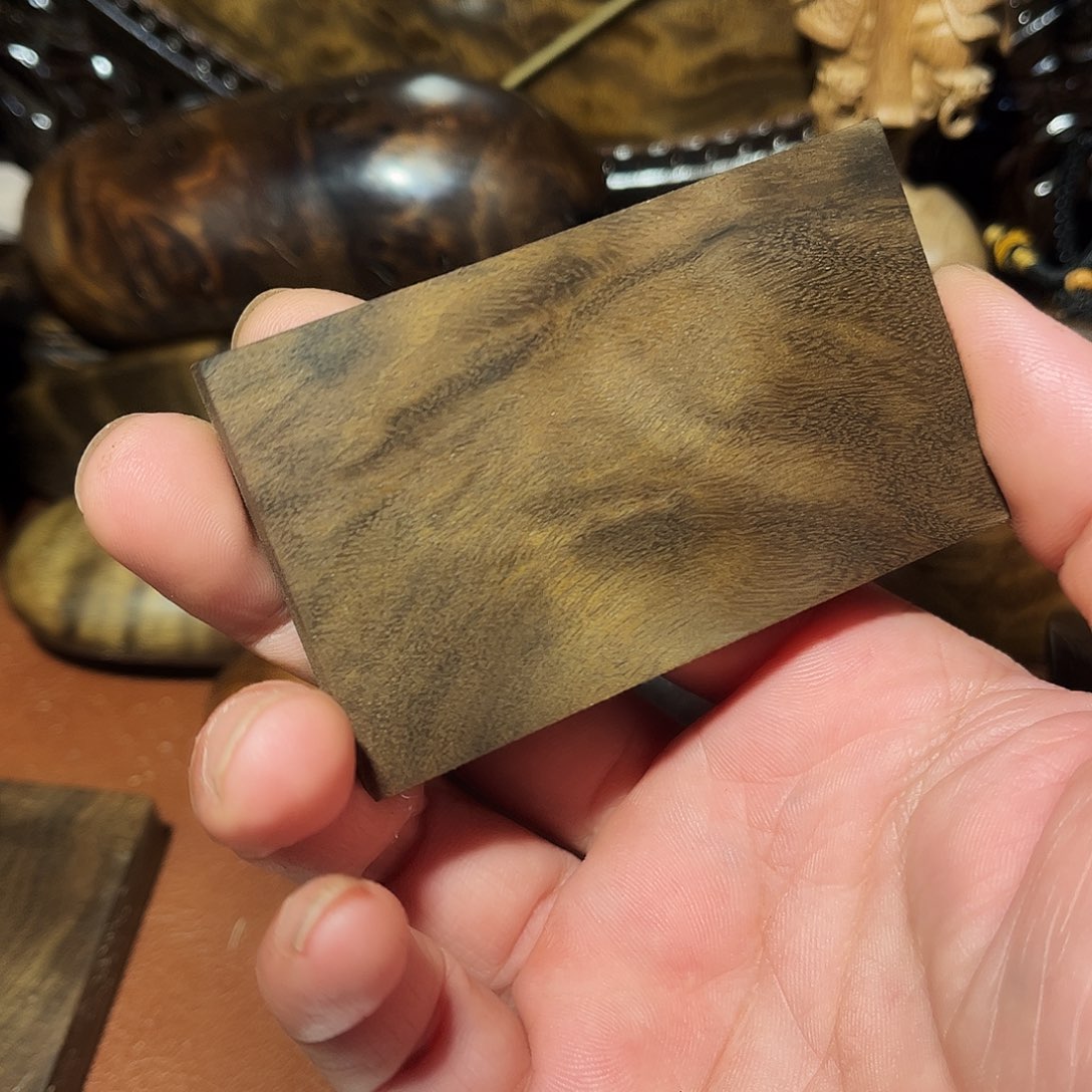 乌木金丝楠小叶桢楠