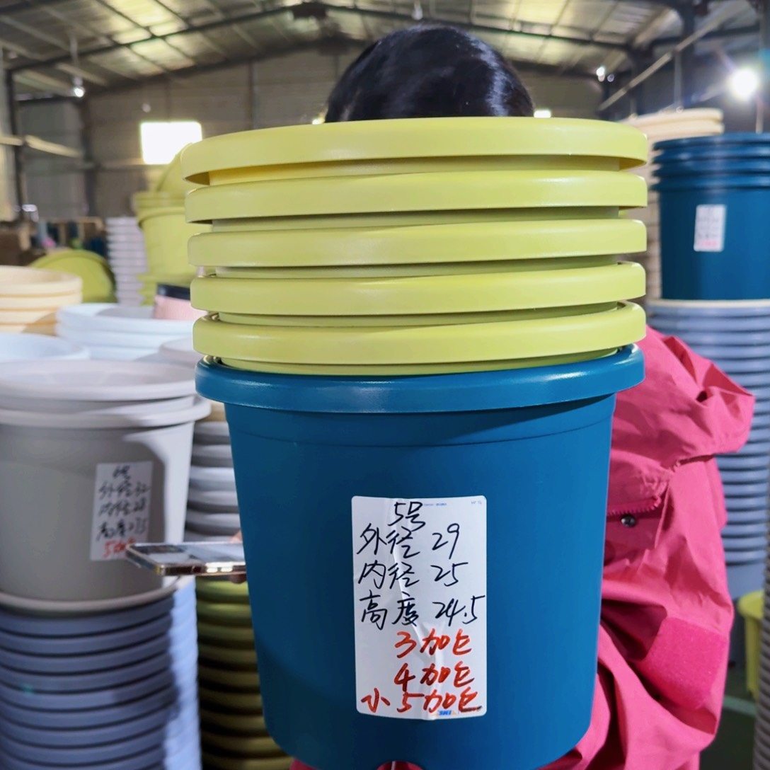 微瑕5#无拖果绿6个