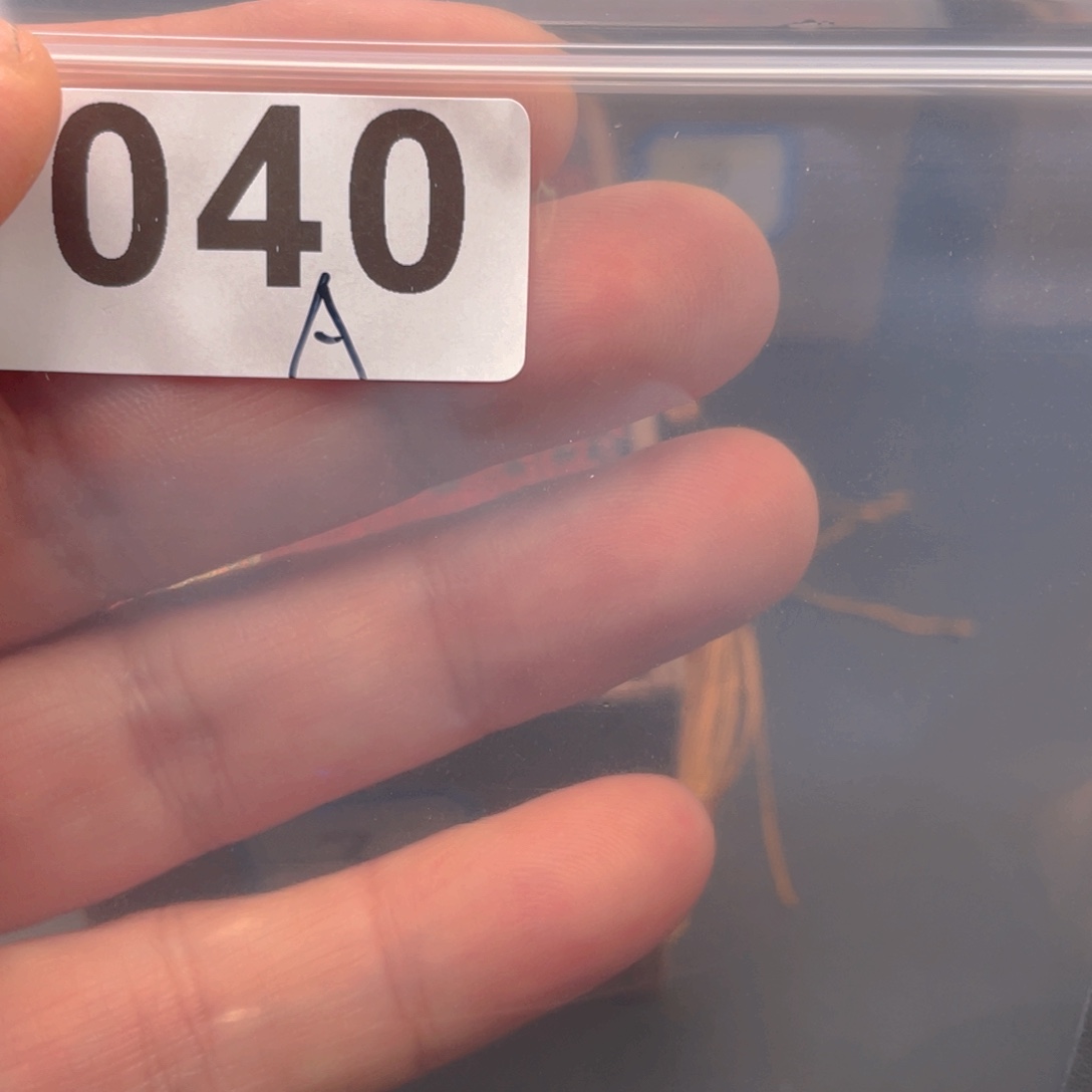 吊坠文玩核桃飞*三号盒子