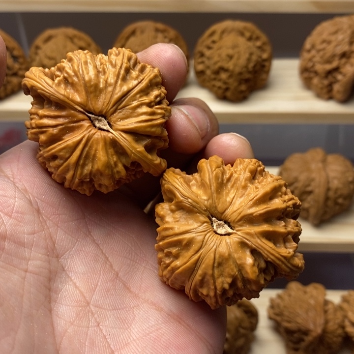 把件核桃曾**海45尺白狮子