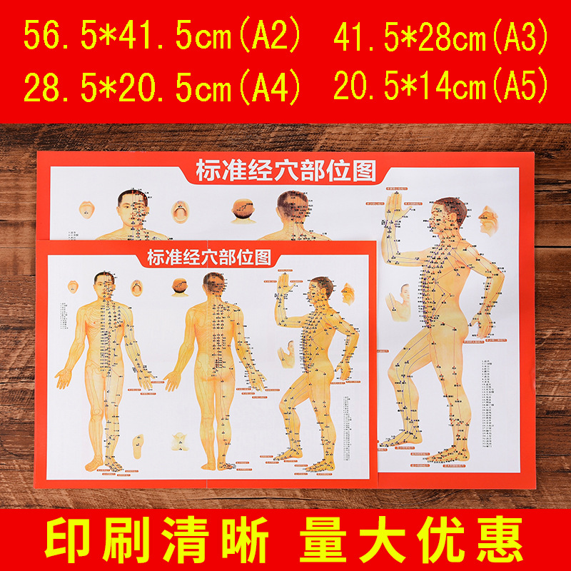 穴位图经络图人体经络图 日产十万张工厂 保健经络图挂画穴位图