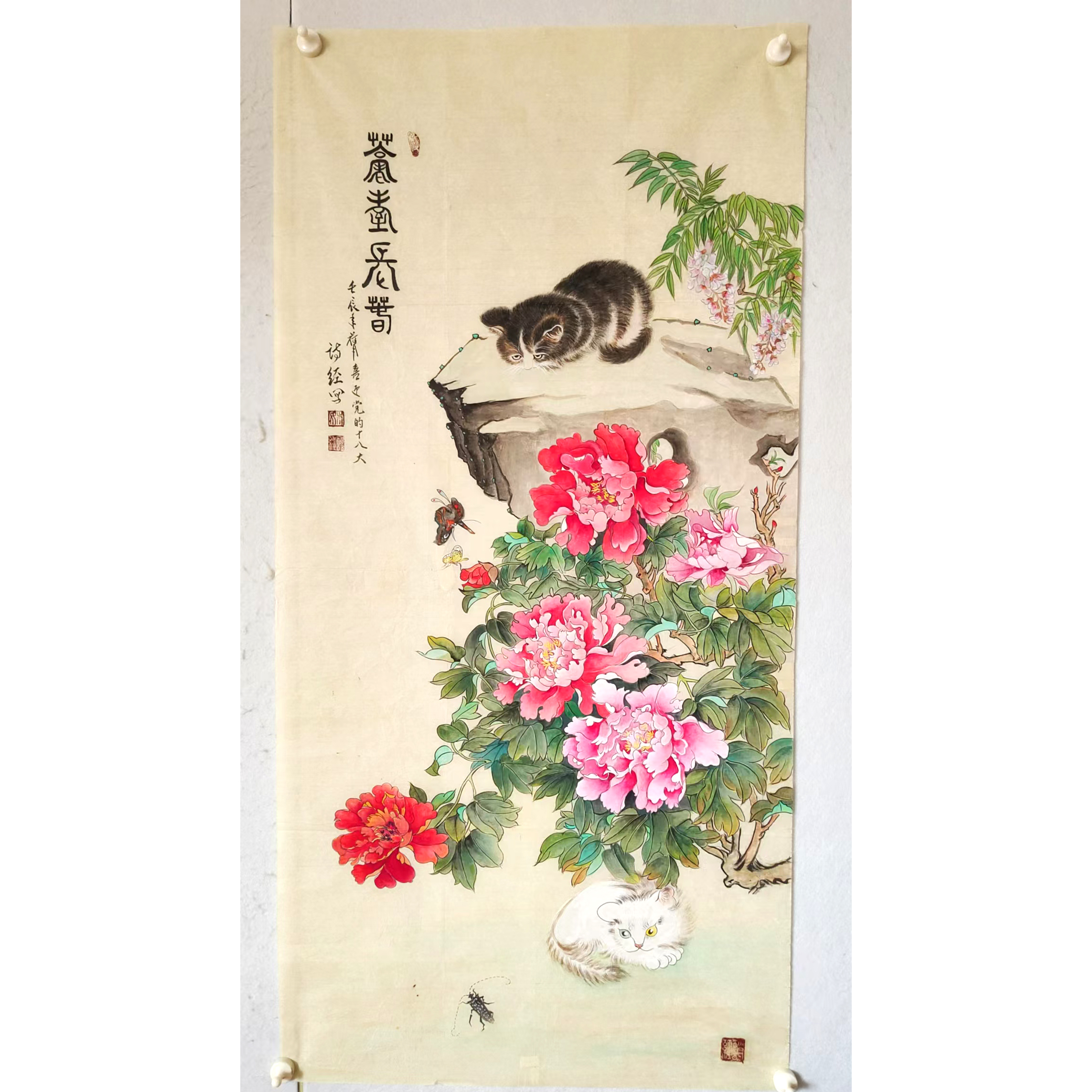 4376 纯手绘老字画《工笔。猫》中堂  尺寸 133×66