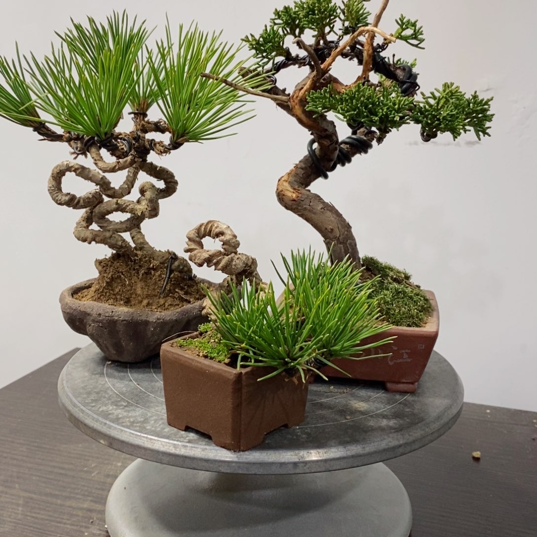 手工艺品琉璃s****n