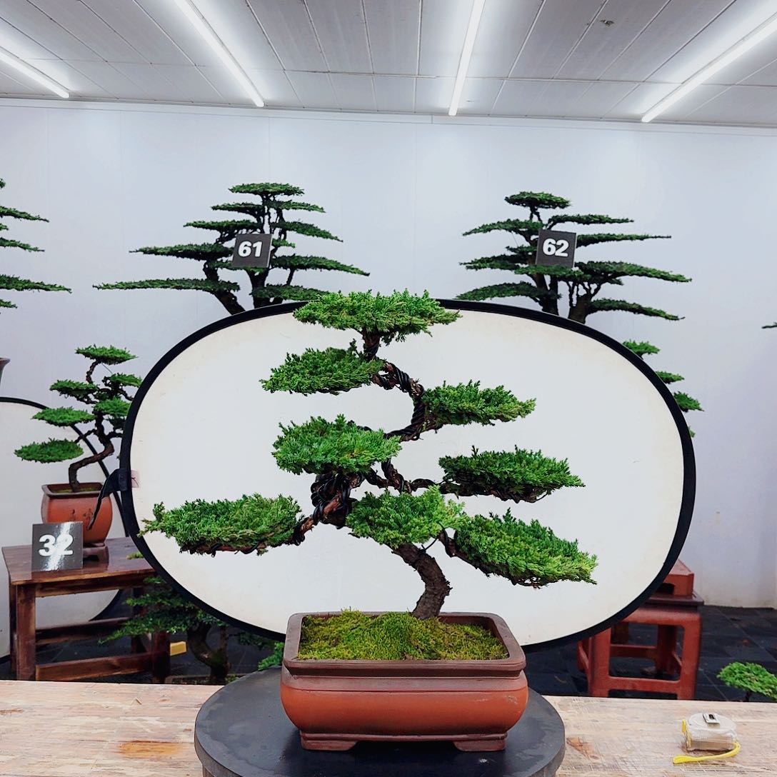 无花朵祥****服000000000000000