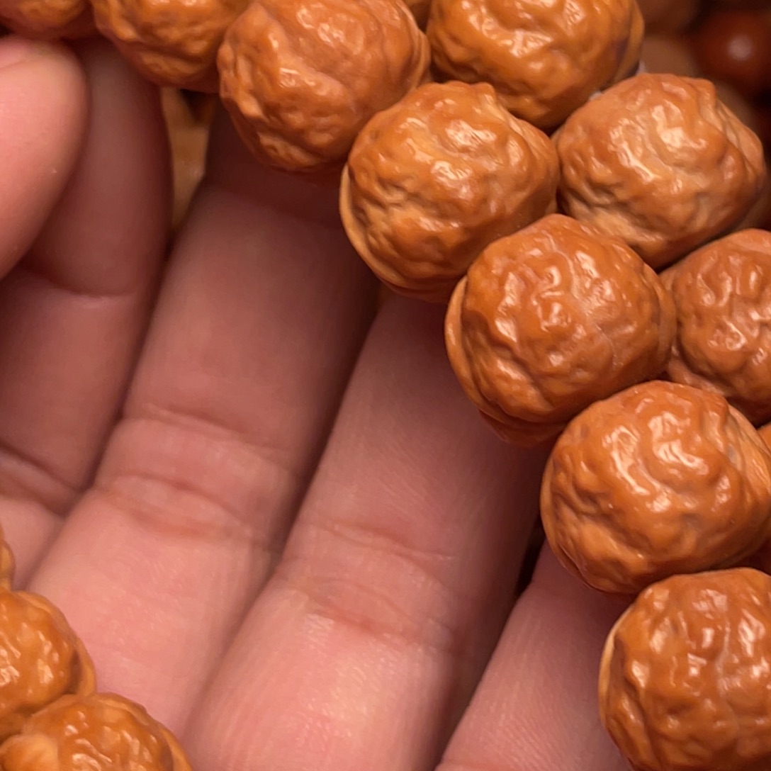 湖***崖柏猴头核桃树在哪里