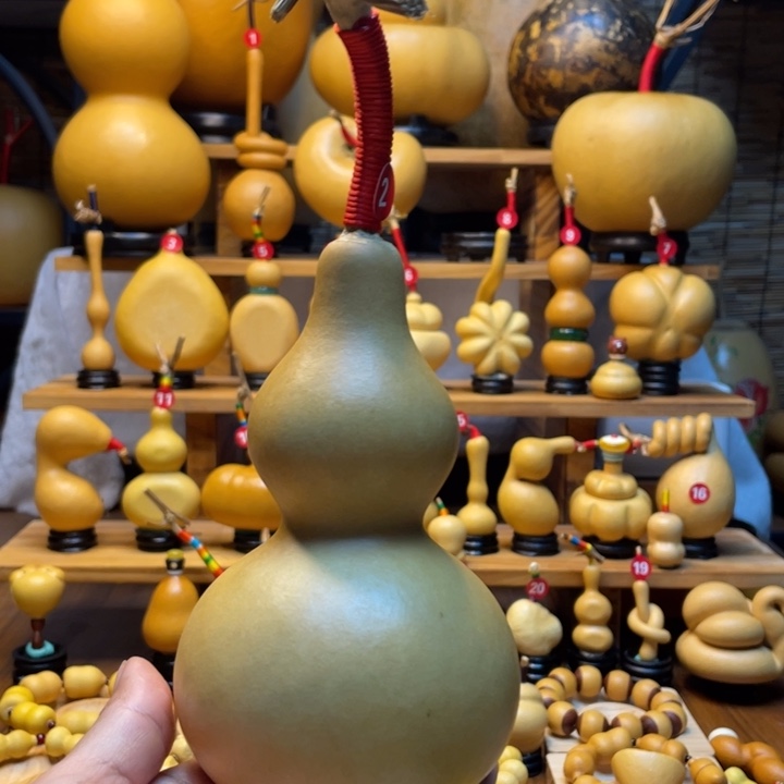 *****天然葫芦自然生长