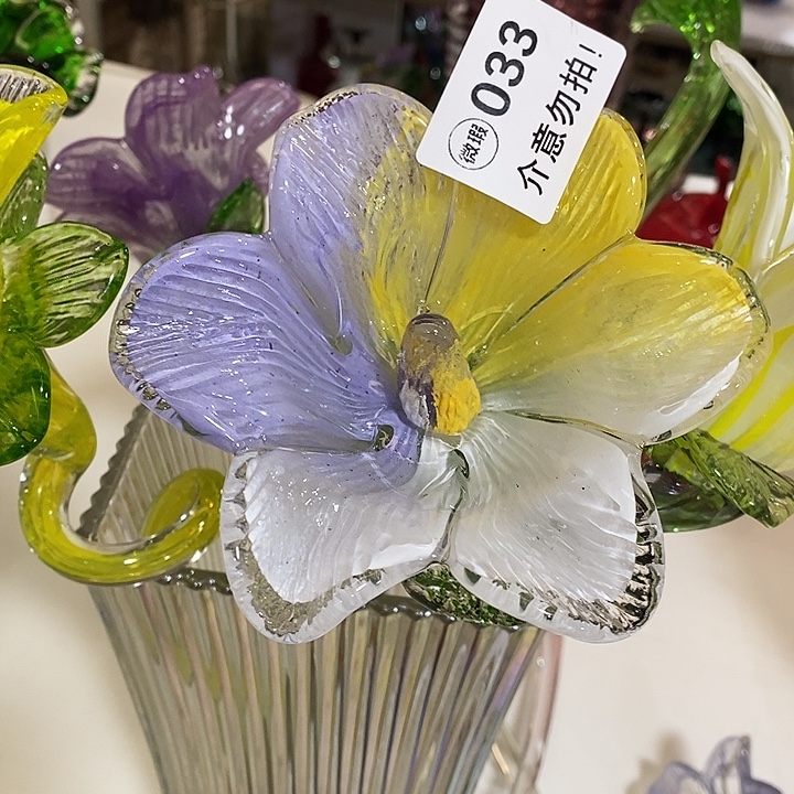 @****百合花高43厘米左右