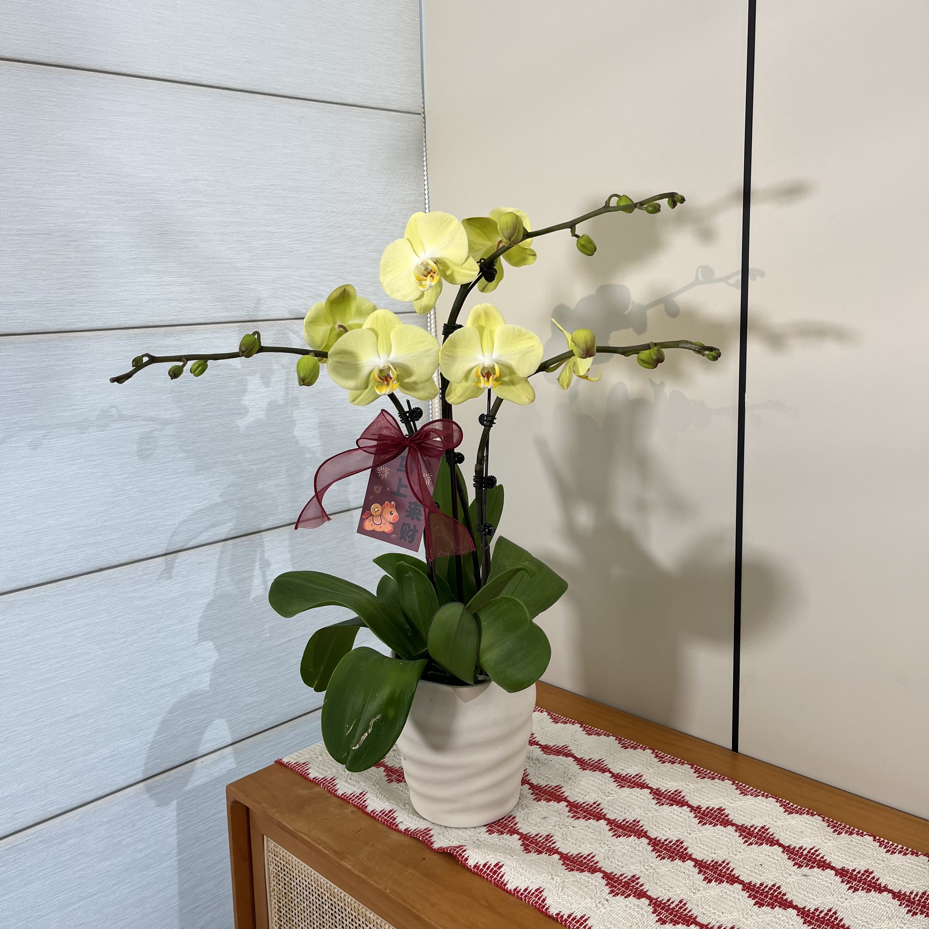 【芳美神话】黄绿色大花型花花 卧室客厅摆件 源头基地