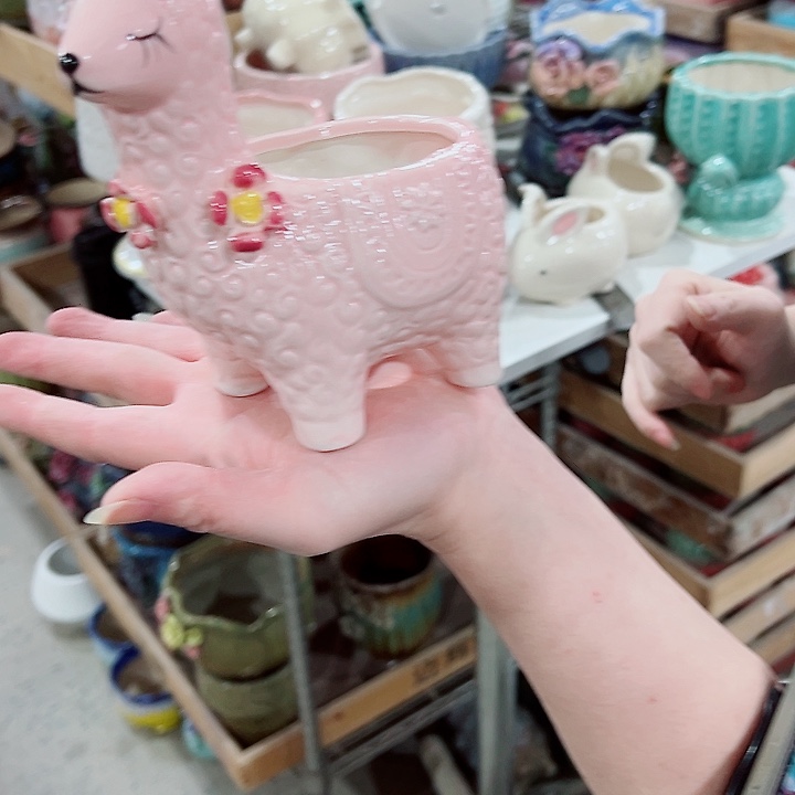 有孔，凑单福利满10元发货陶瓷多肉花盆！