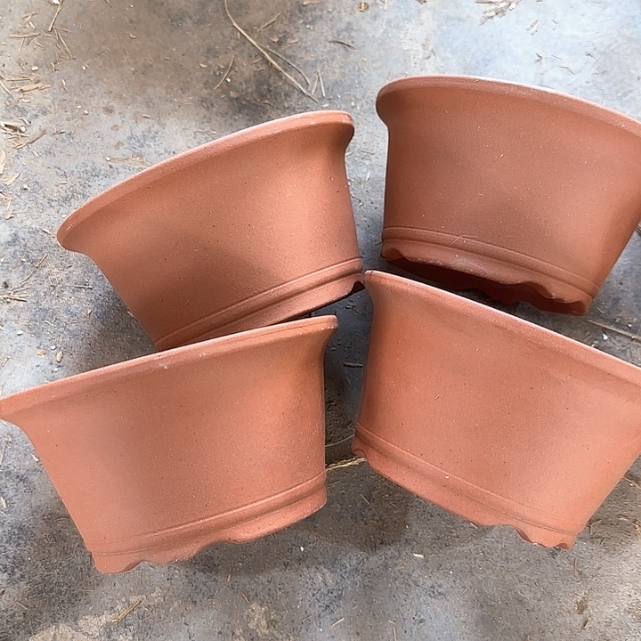 紫砂21×11四只福利款