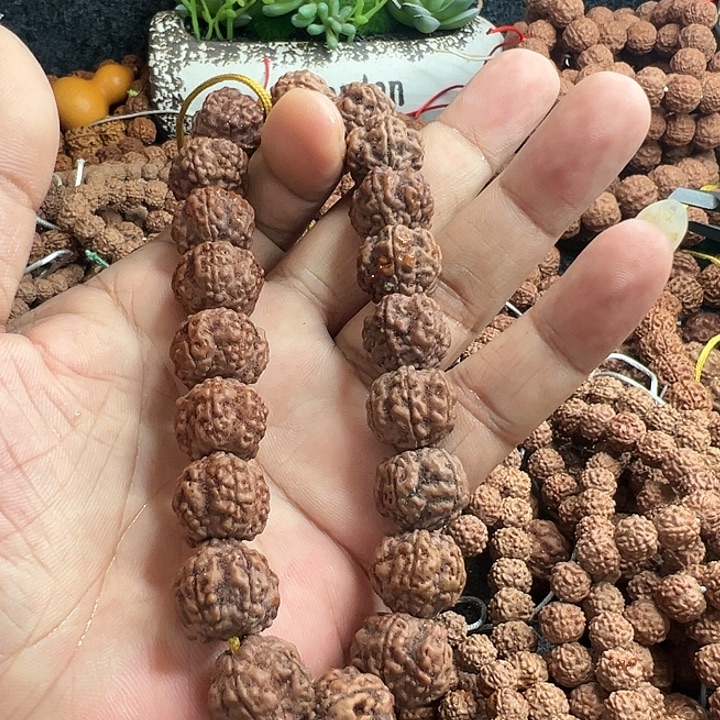 用***6手串金刚菩提梅花手持单圈