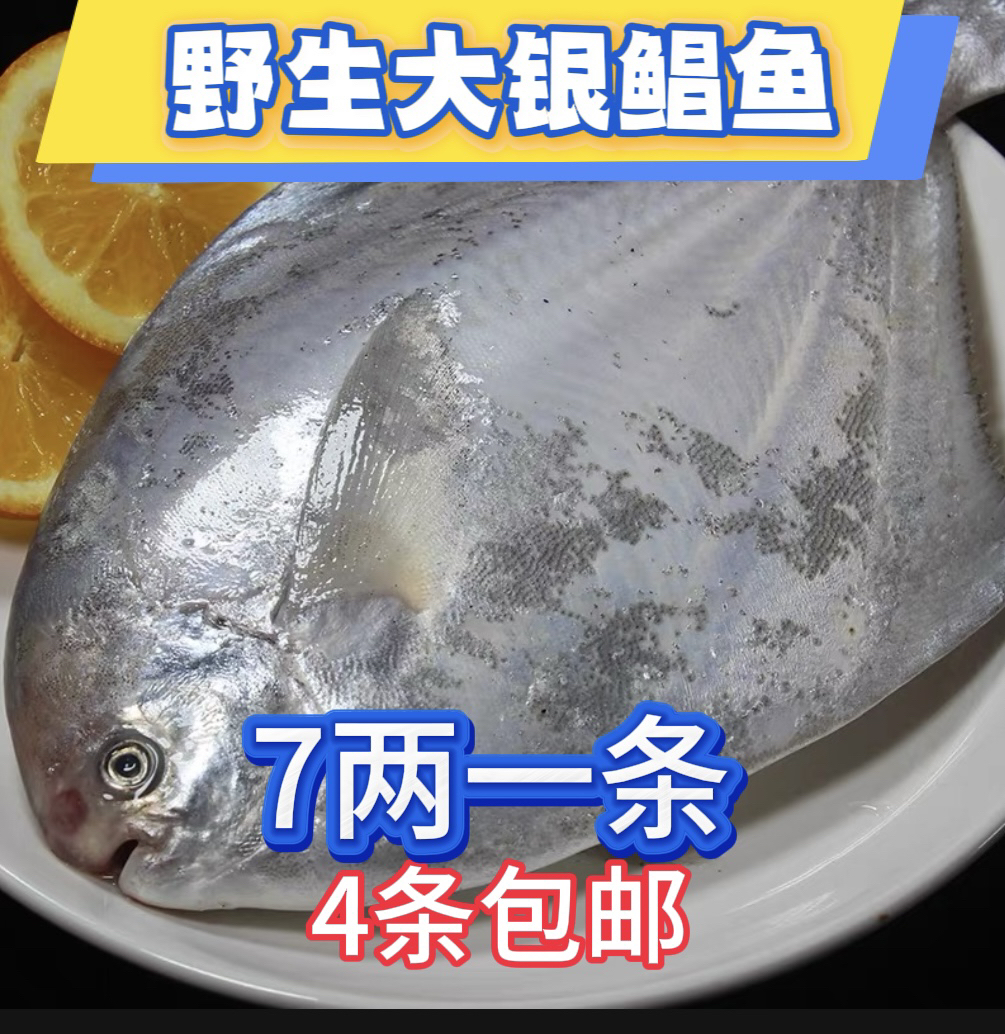 新鲜 大银鲳鱼7两一条（4条包邮）顺丰包邮液氮锁鲜发货