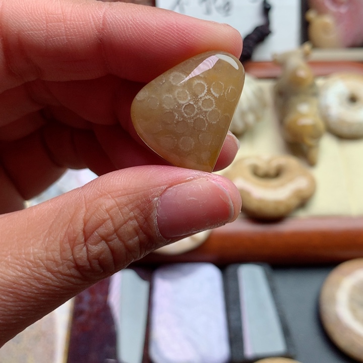 硅化珊瑚（珊瑚玉）颈饰未镶嵌