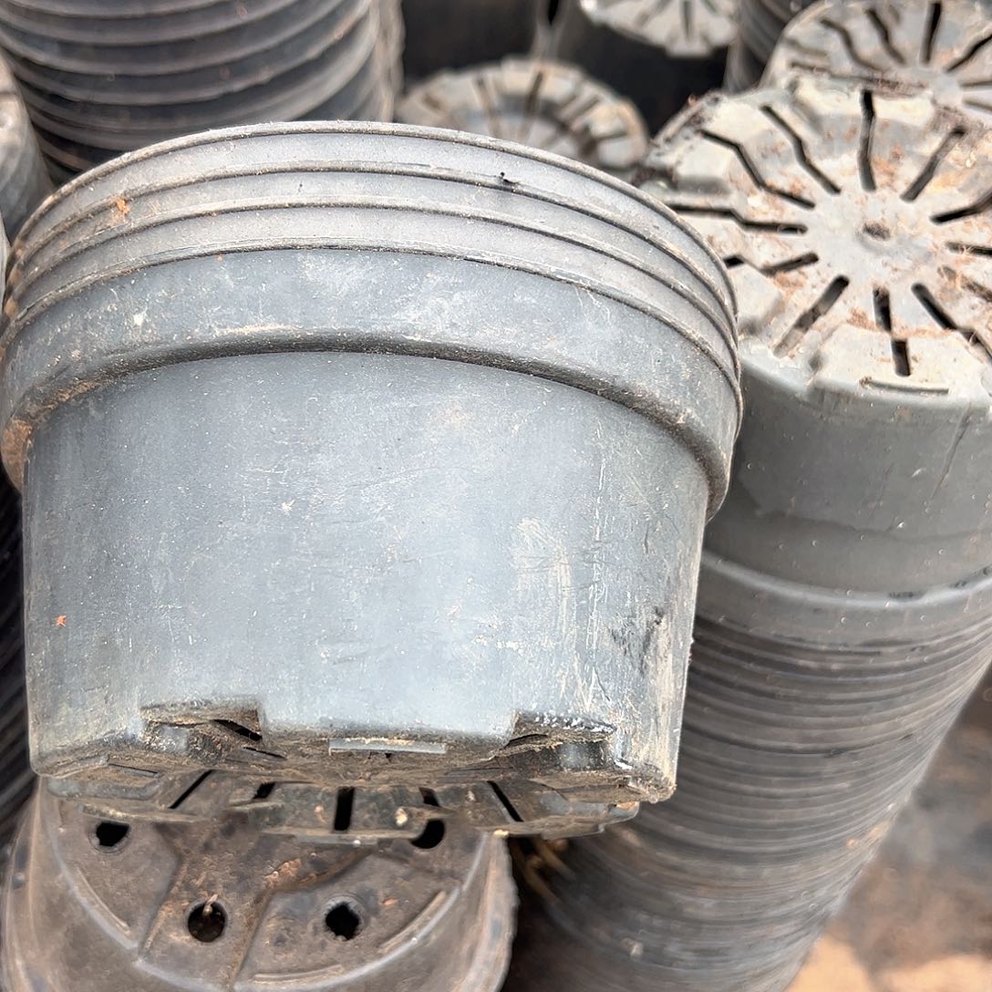 矮胖盆17口径8高 30个