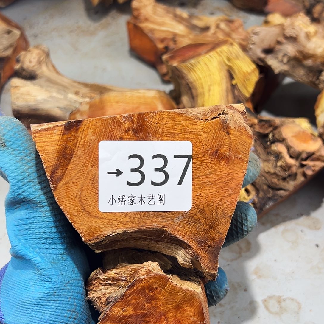 优***叔香榧木火琉璃……火琉璃