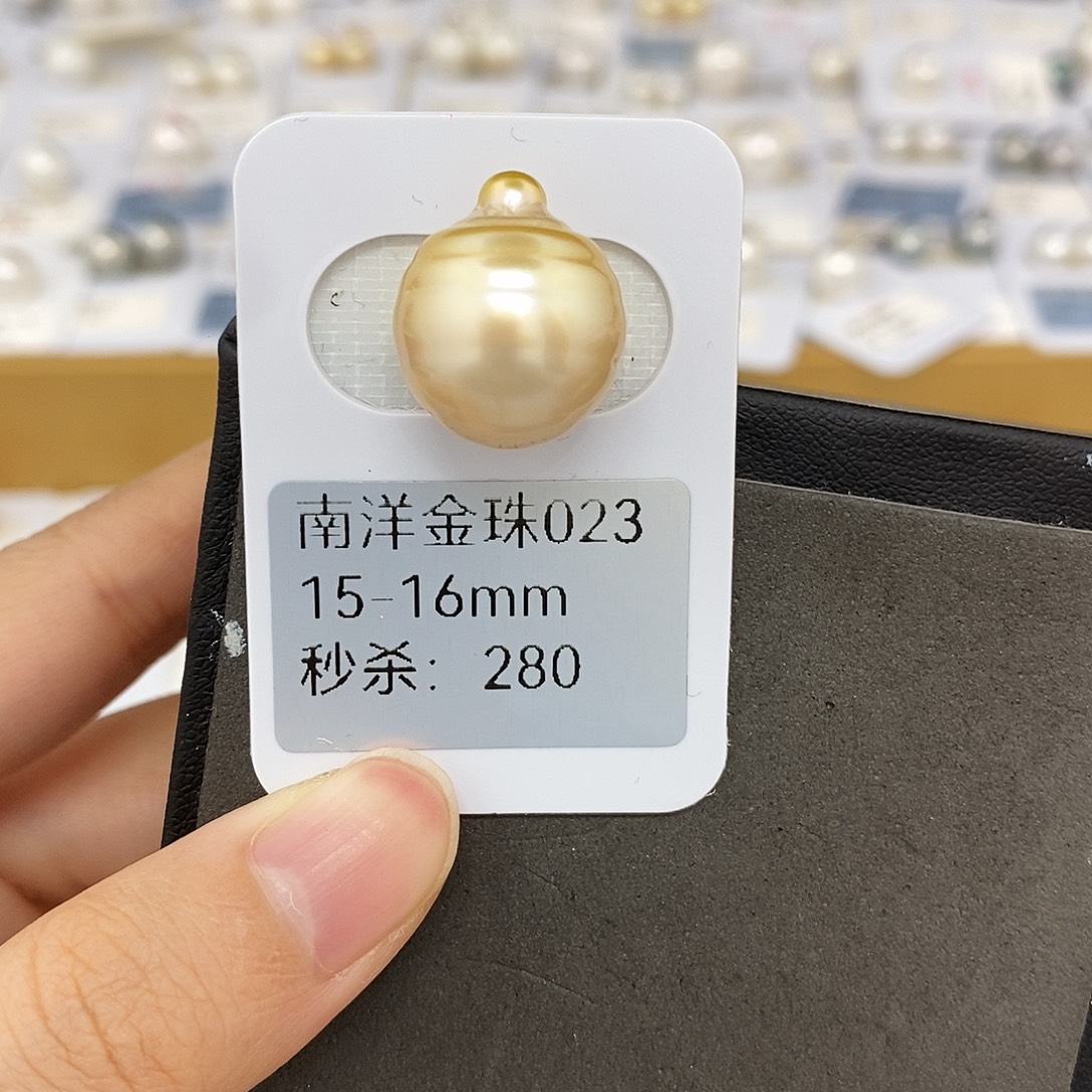 海水珍珠未镶嵌耳饰15-16mm金珠（无鉴赏）