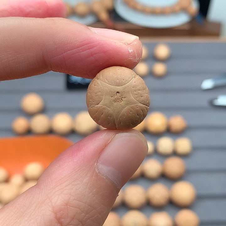 吊坠凤眼菩提特价17+五星，非质量问题开孔不退