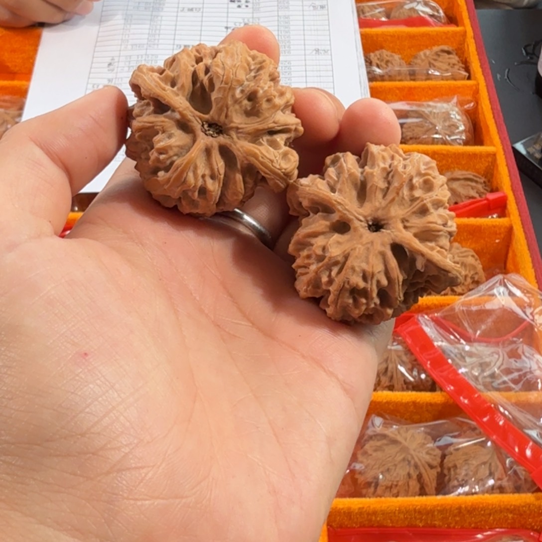 文玩核桃把件619号40mm以下