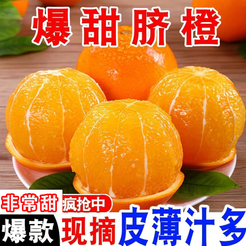 【现摘现发】只卖正宗高山纽荷尔脐橙无籽皮薄多汁酸甜可口