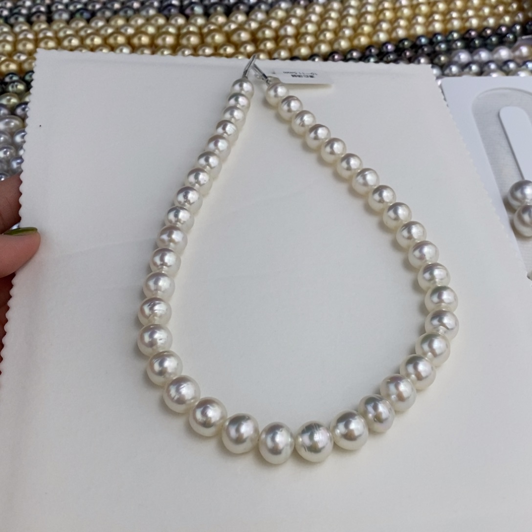 未镶嵌澳白10-11.5海水珍珠