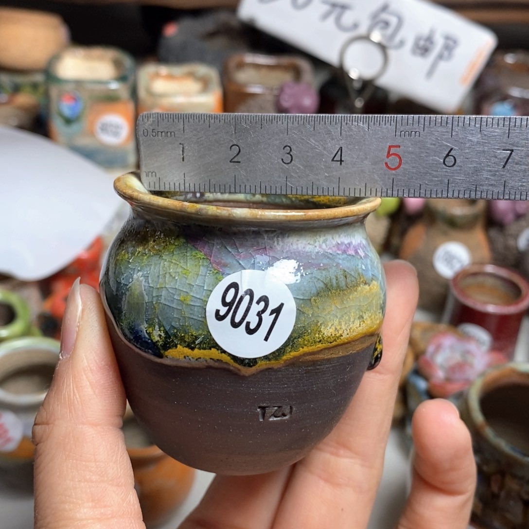 花盆拍5个送一个送小礼物