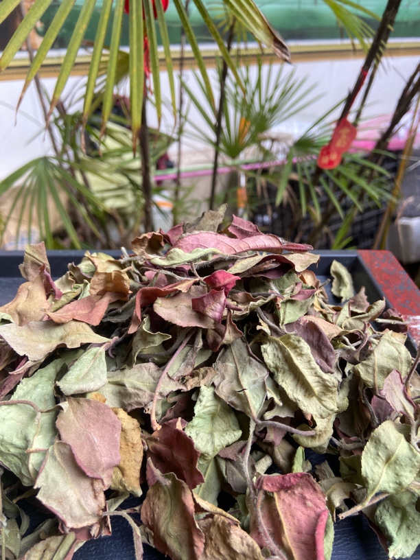 2024年，清淡幽香（桃花醉白茶散茶） 