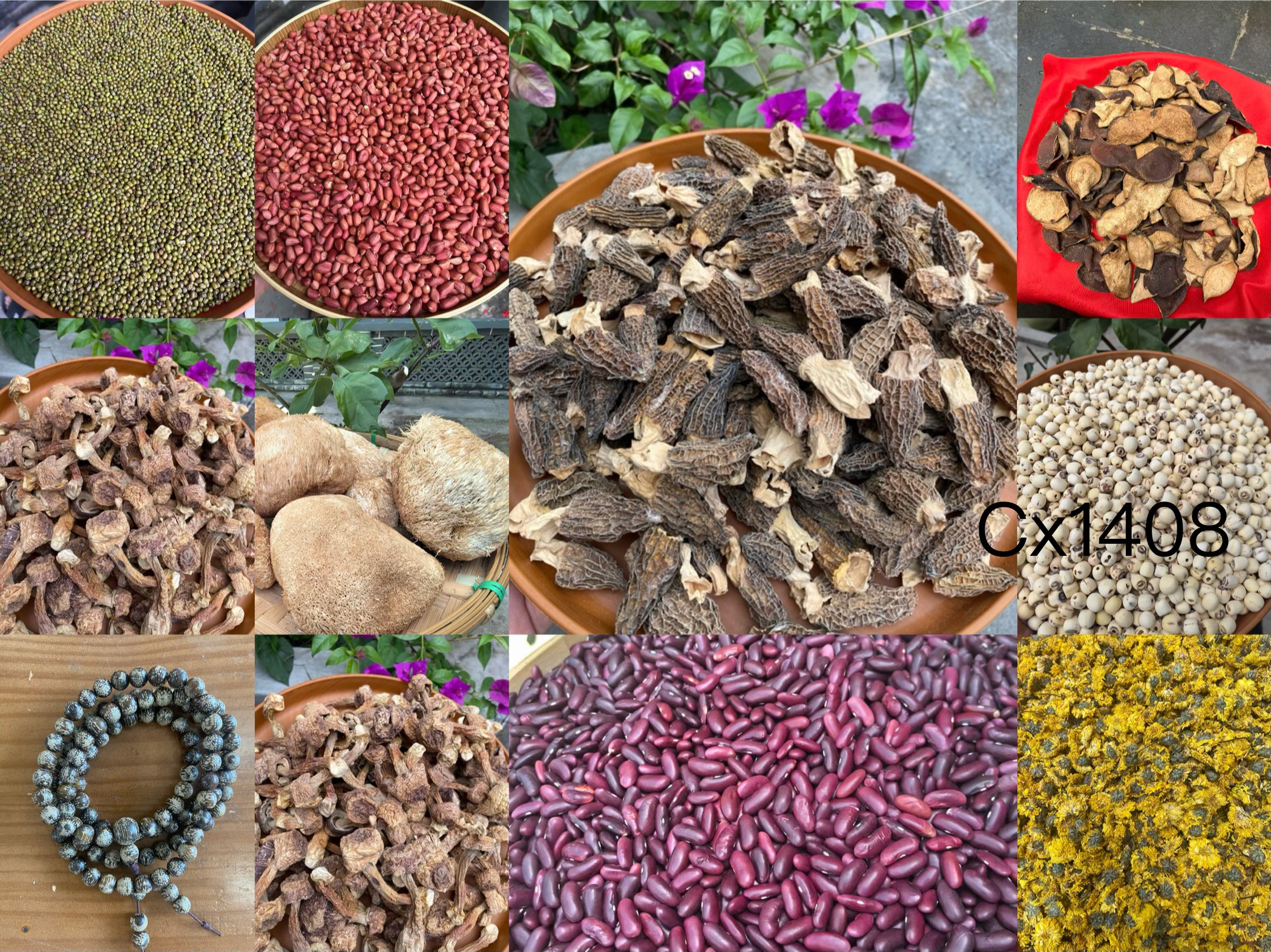 【孙哥专属土特产Cx-1408】多样性发货 重量42克左右