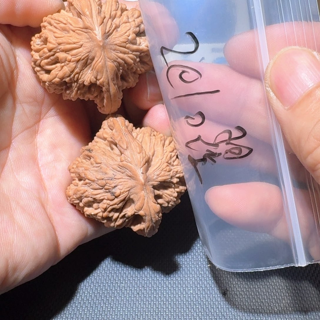 *****文玩核桃把件虎头