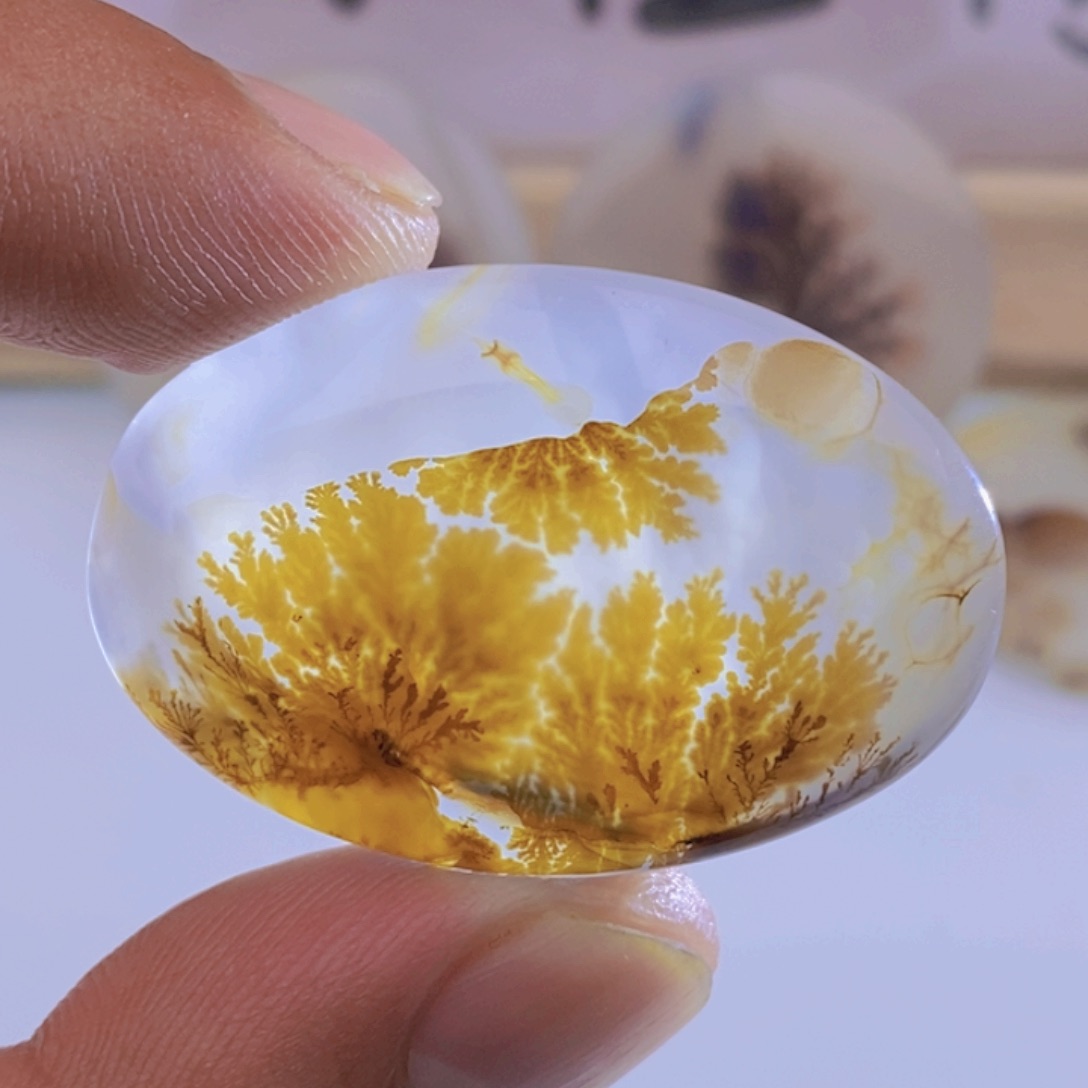 玛瑙/玉髓颈饰未镶嵌