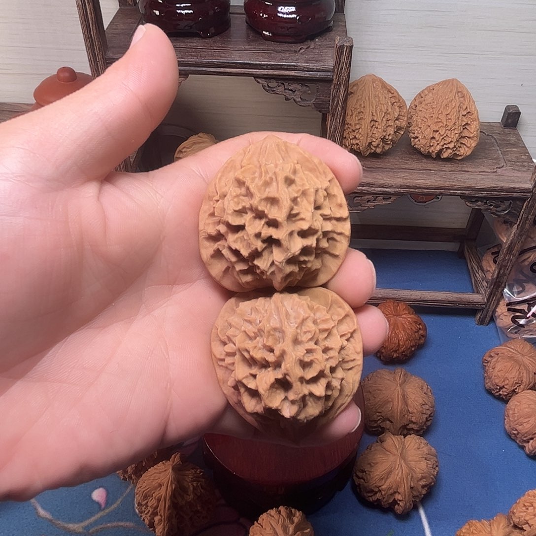 Z***～龙鳞龙鳞龙纹龙纹