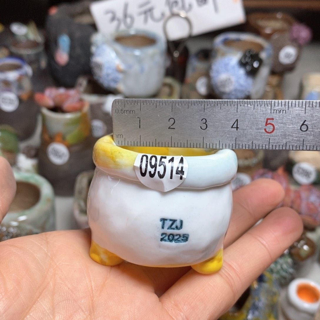 拍3送一个小礼物
