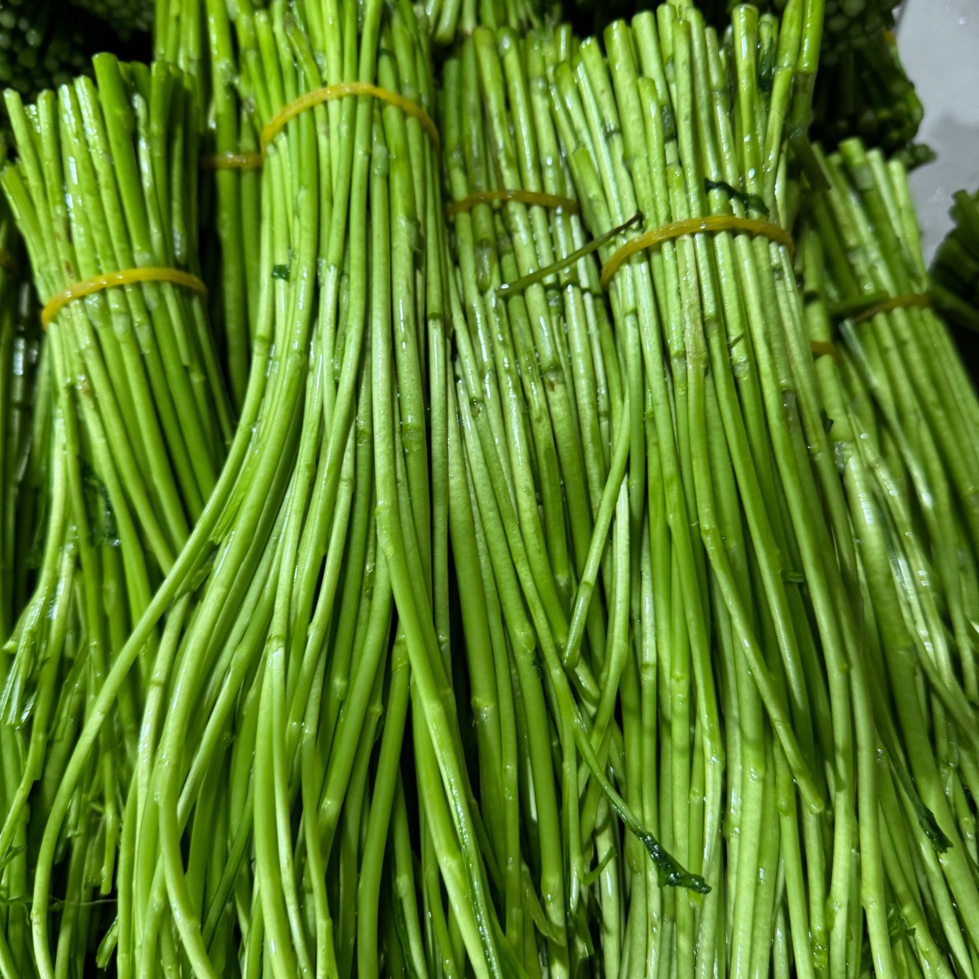 华容新鲜菜顺丰包邮