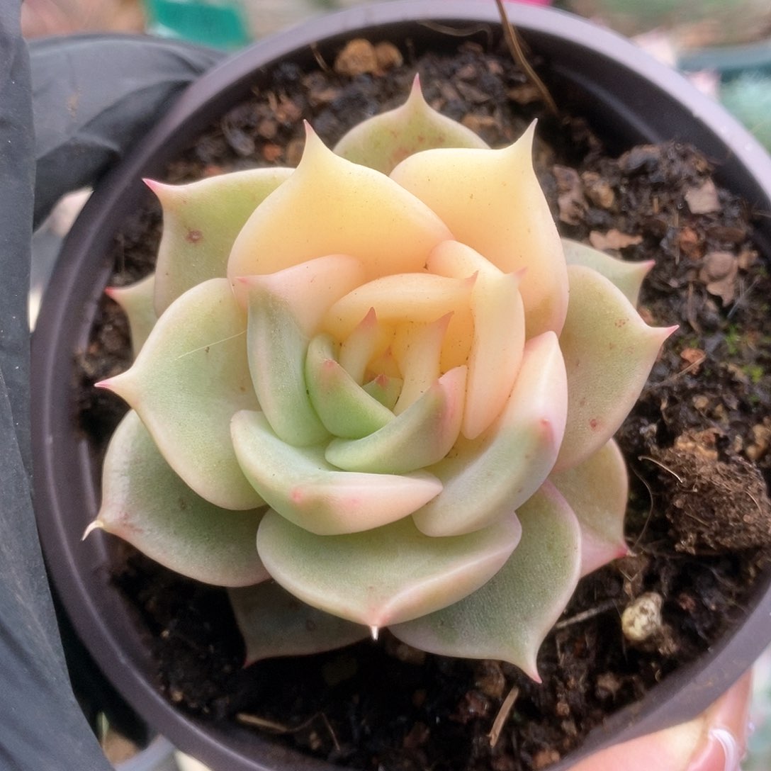 173贝加尔湖锦锦锦锦