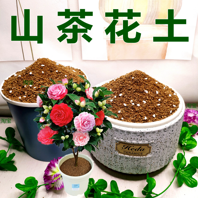 福建基地茶花专用配方土透气弱酸性生根快种植营养土通用型有机土