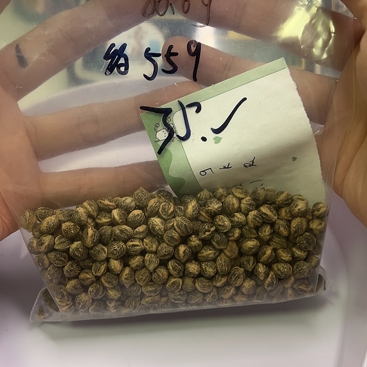 青***物柏香籽/百香籽吊坠
