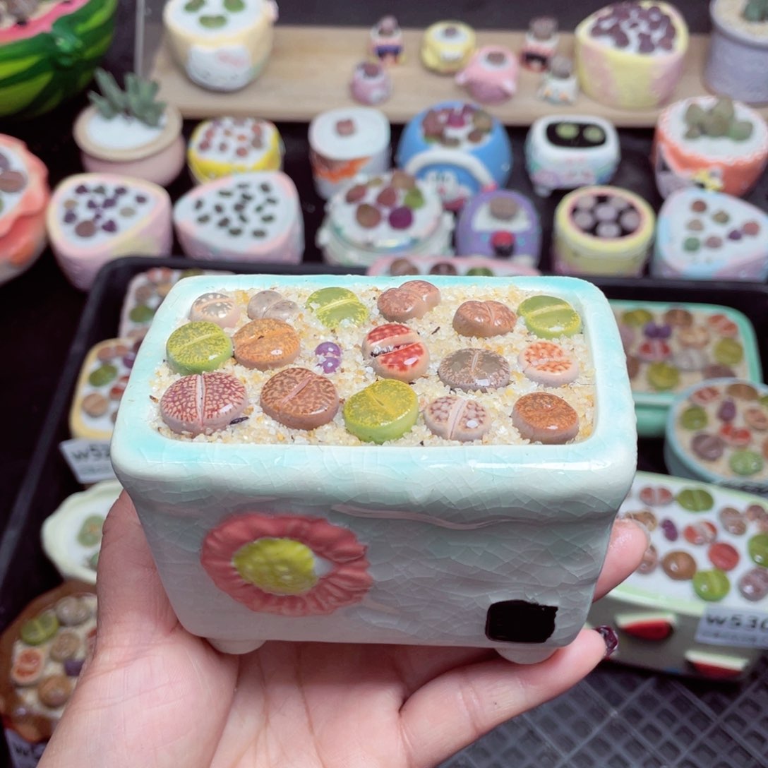 w5307 -零下地区拍保温箱-15支持寄养