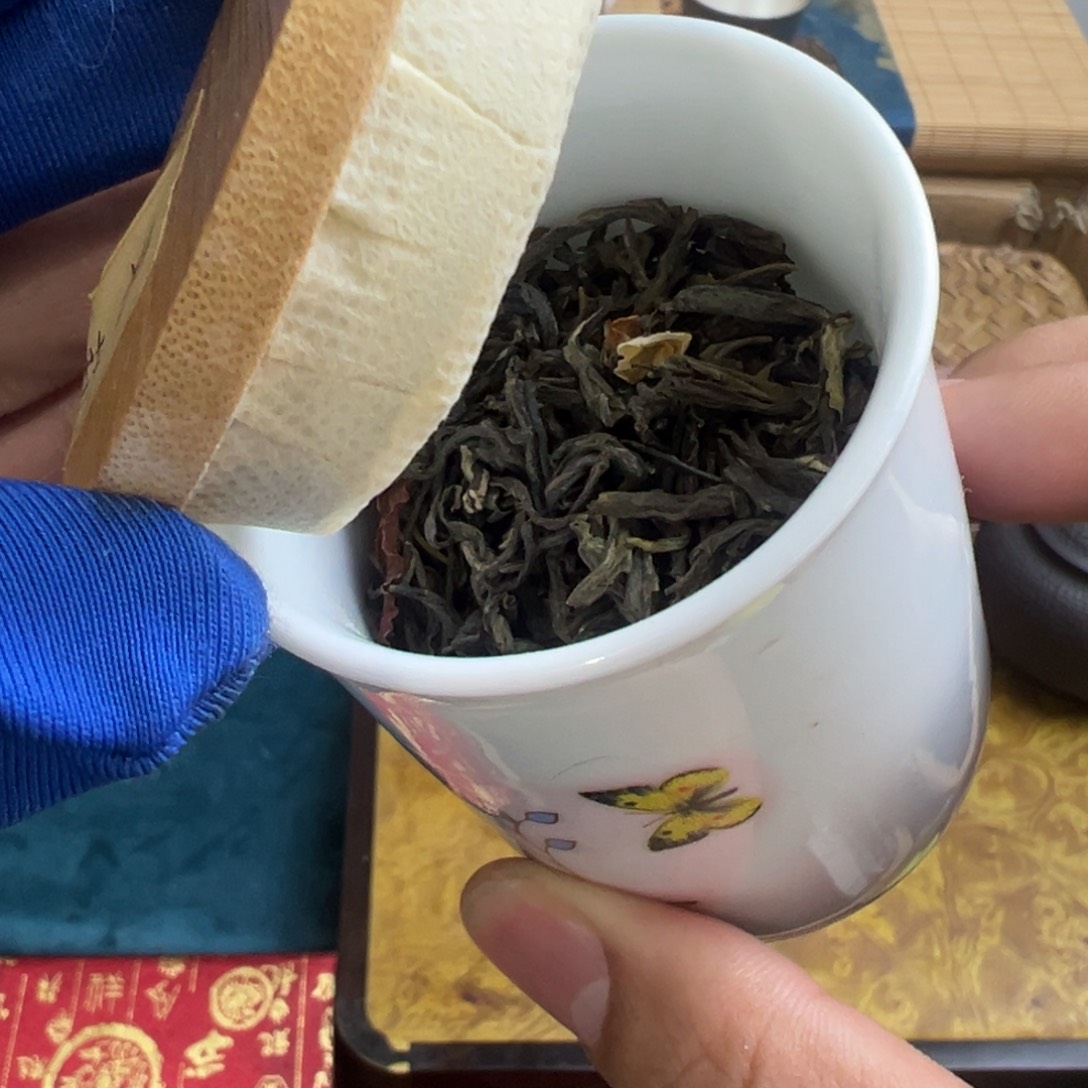 茶宠哈哈哈哈哈哈哈哈哈哈哈哈