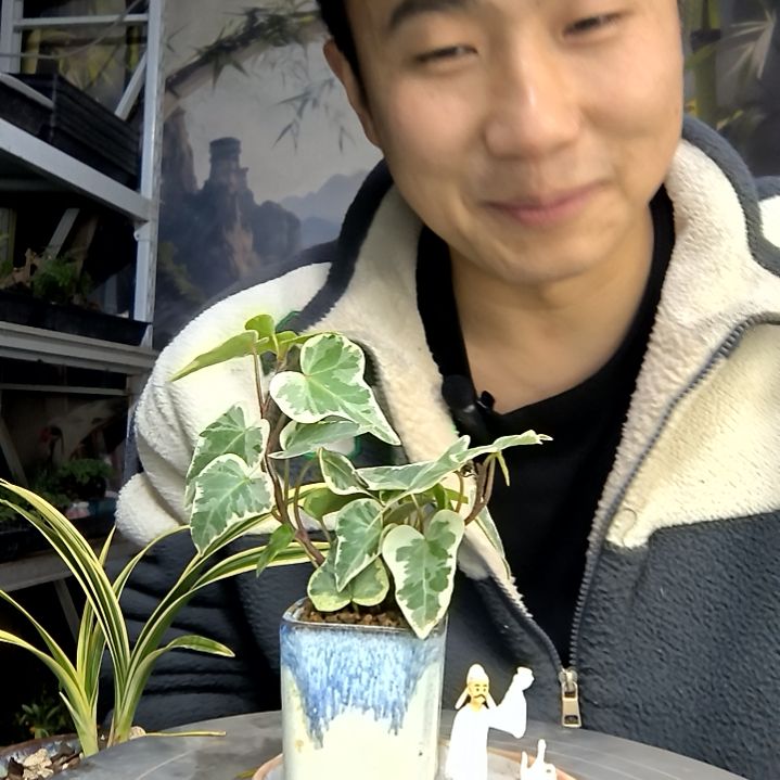 忆***中青园艺一物一拍花290