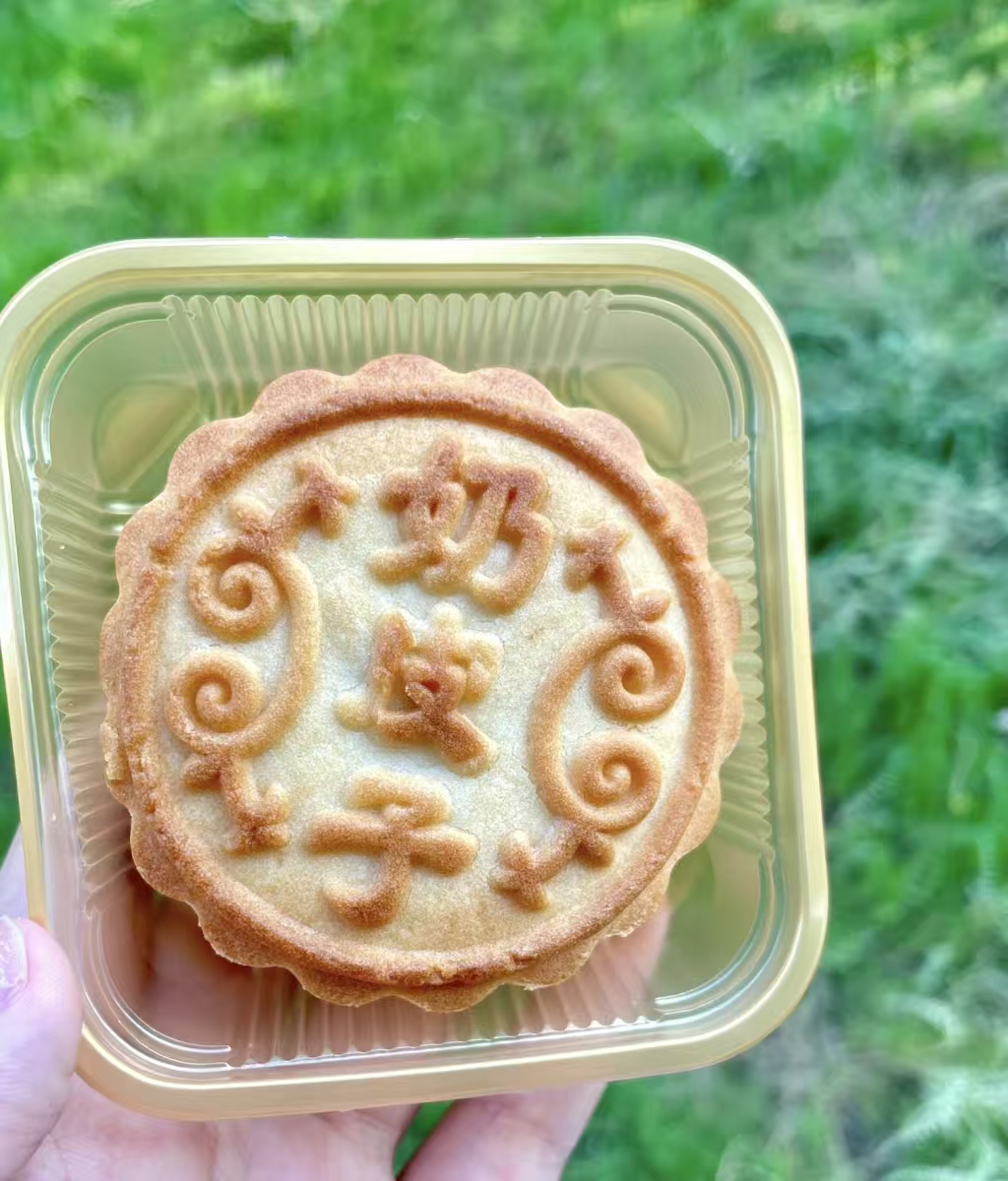 新疆特产奶皮子酸奶月饼中式夹心糕点