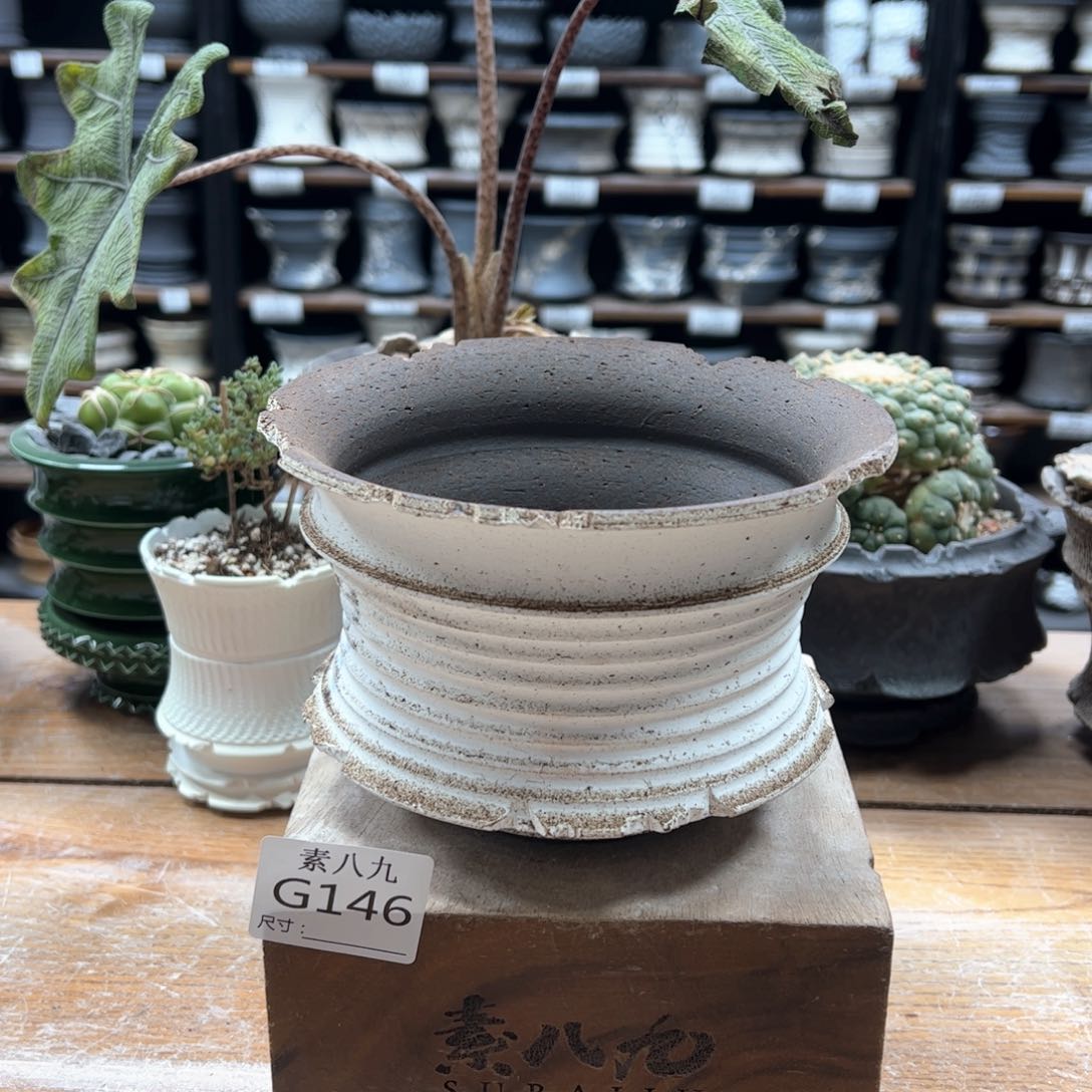 素八九陶瓷内口15.5高10.5