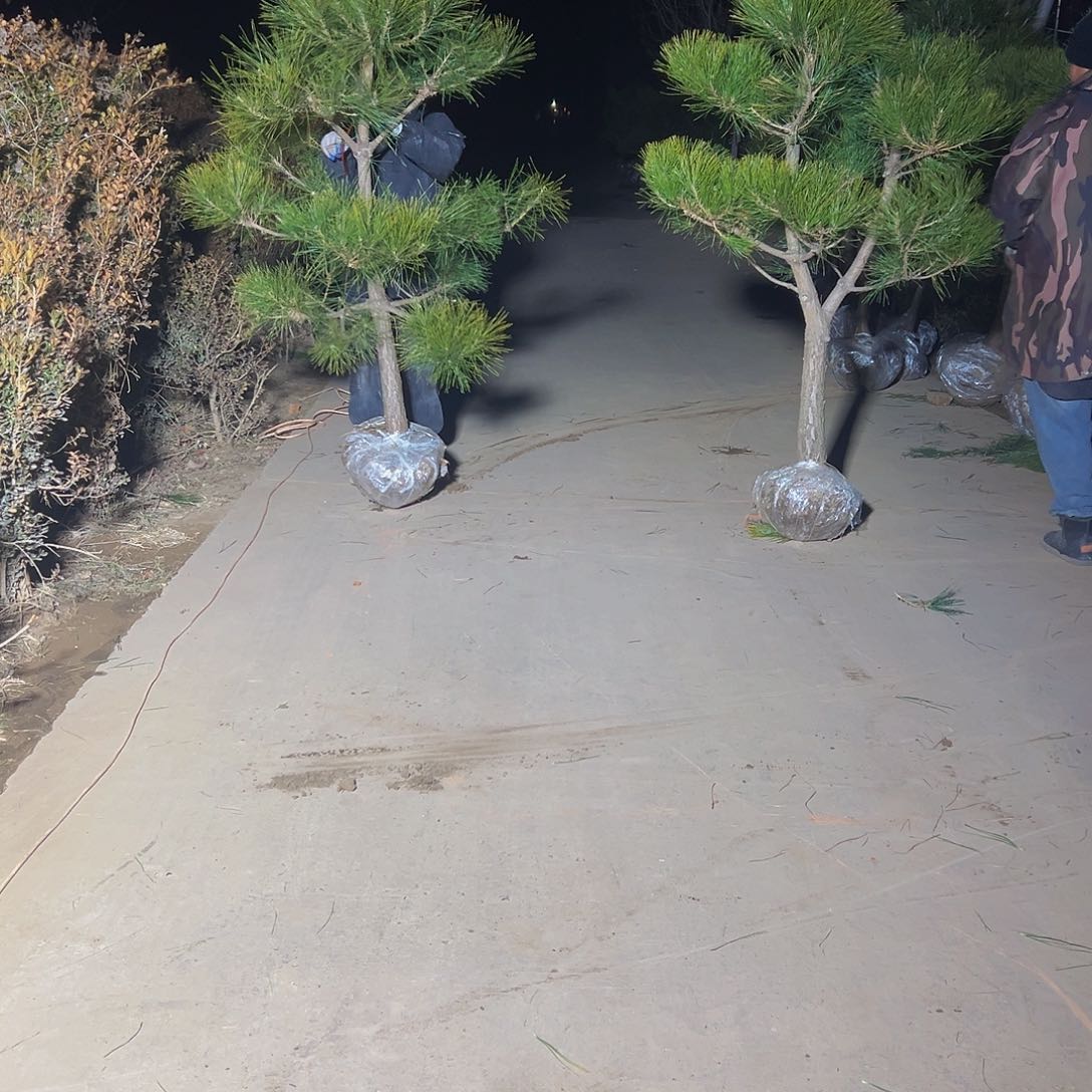 浪*叔8888888888888888