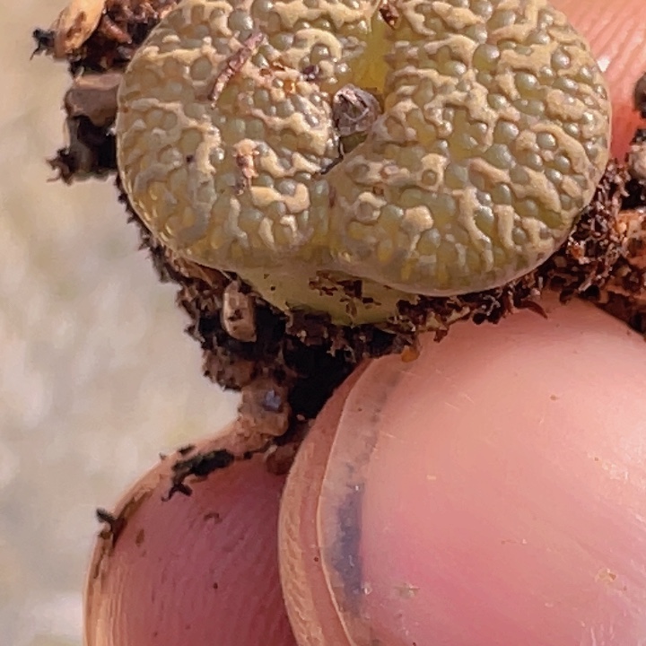 488889588888888888888888